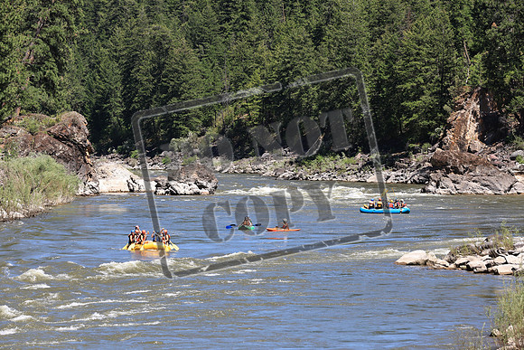 20220711-IMG_4107