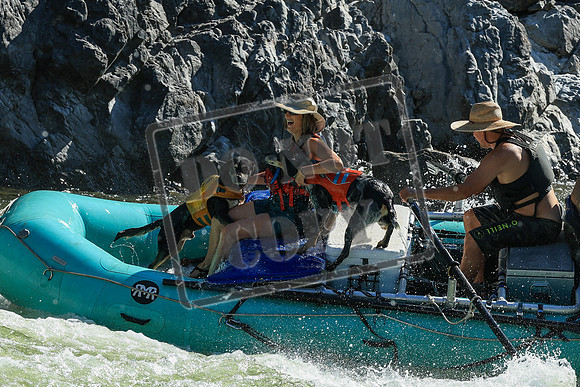 20250803-IMG_5317