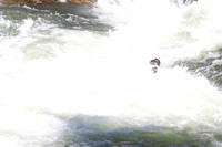 20110903-20110903-IMG_0781