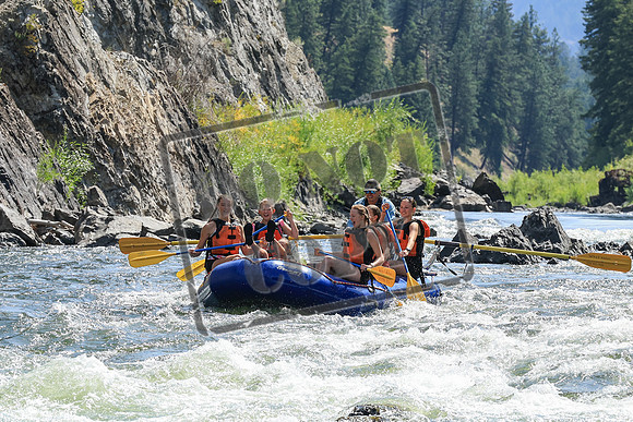 20250806-IMG_2898