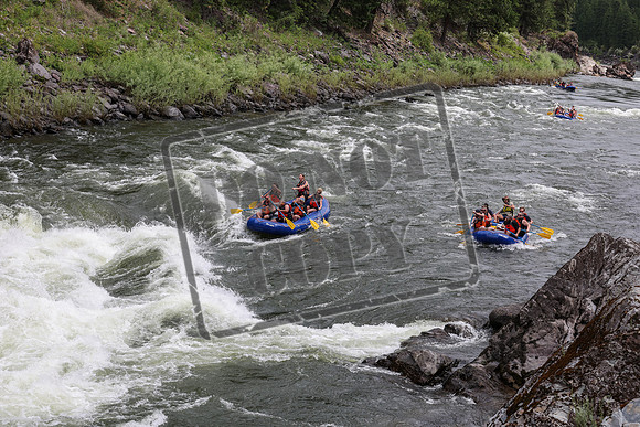 20240626-IMG_1568-3