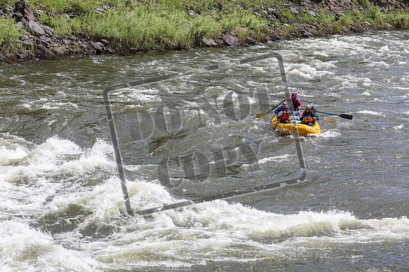 20240616-IMG_0886