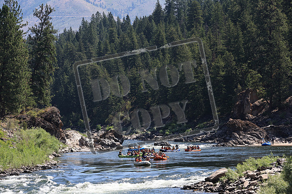 20220729-IMG_0560