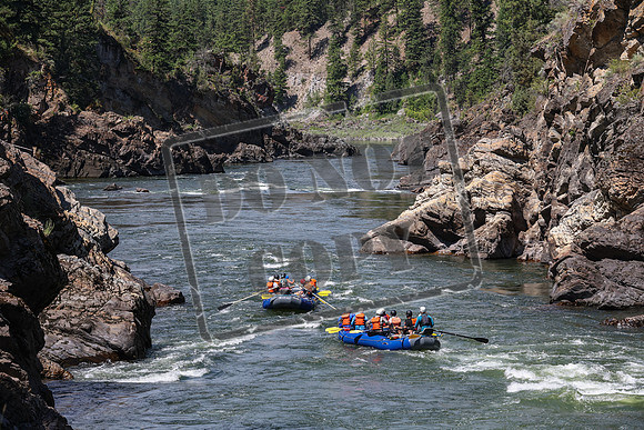 20240705-IMG_8186