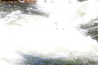 20110903-20110903-IMG_0780