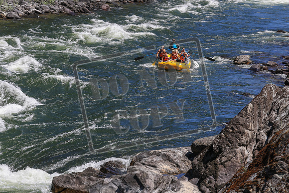 20250703-IMG_2059