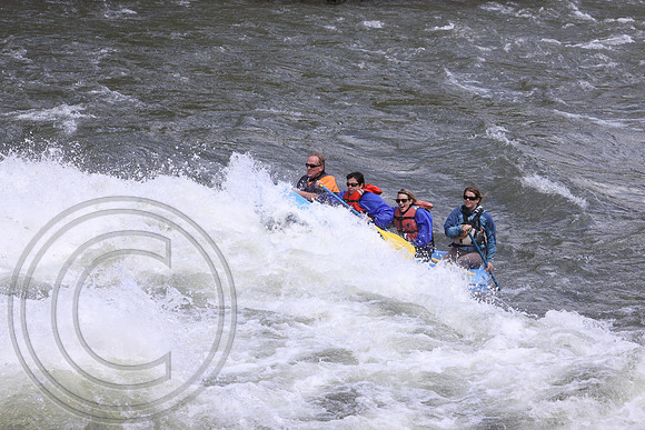 IMG_7804