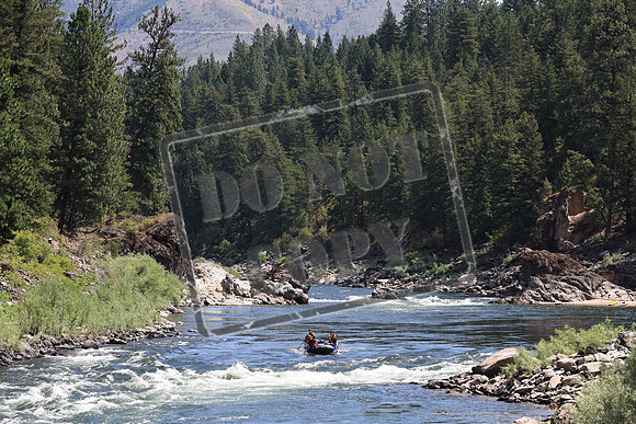 20220729-IMG_1173