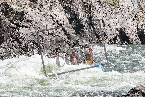 20240720-IMG_6296