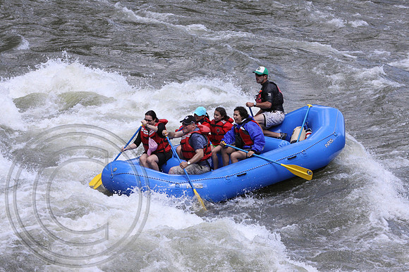 IMG_6910