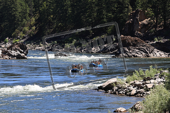 20220720-IMG_4551