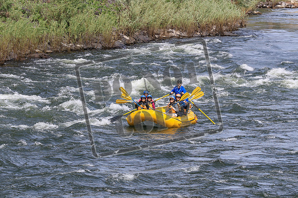20250619-IMG_6936