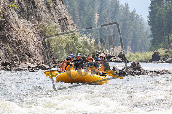 20240725-IMG_8502