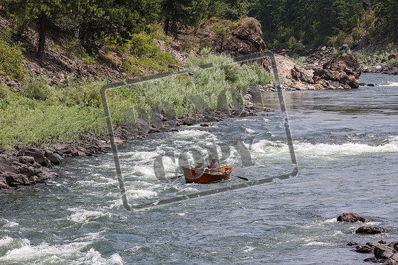 20240714-IMG_1294