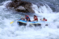 Zoo Town Surfers