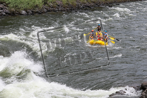 20240626-IMG_2289-3