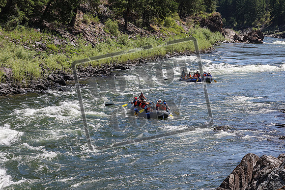 20240705-IMG_8130