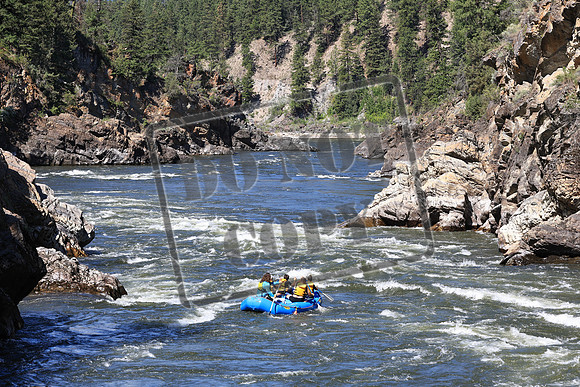 20220708-IMG_6713
