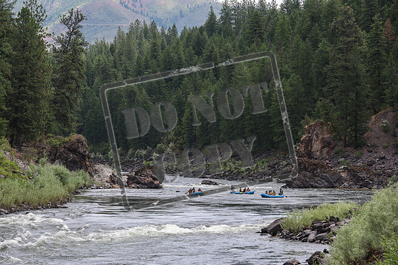 20240701-IMG_0594