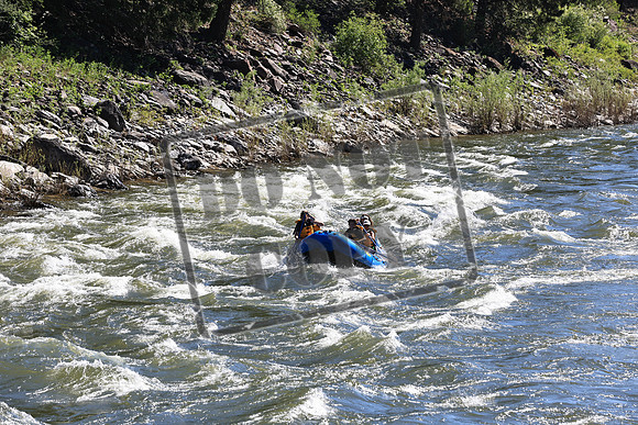 20220708-IMG_6685