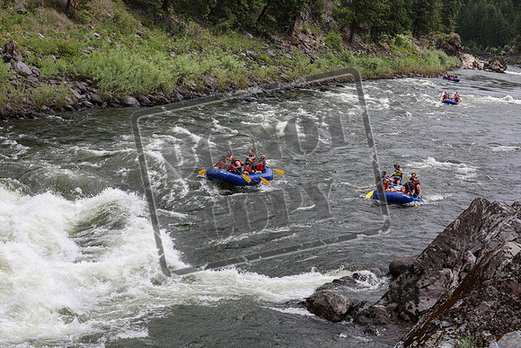 20240626-IMG_1567-3