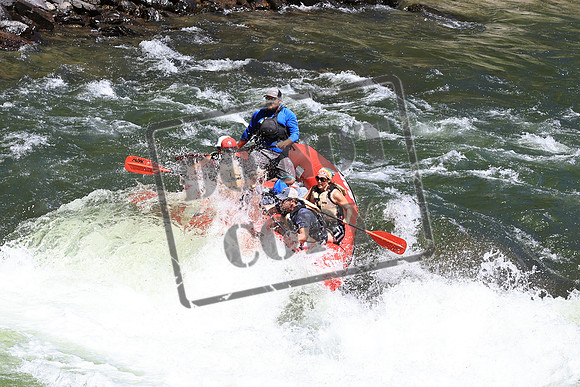20220720-IMG_5366