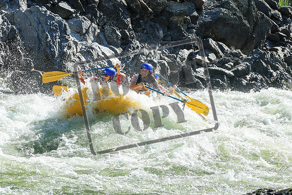 20250812-IMG_4566