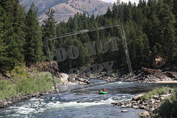 20220806-IMG_2261