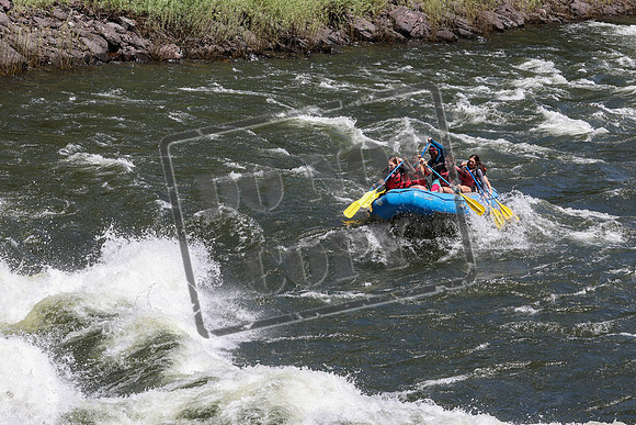 20240619-IMG_2067-2