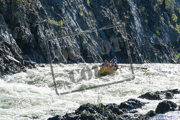 20250812-IMG_4391
