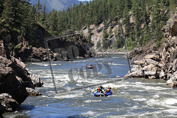 20220701-IMG_7527