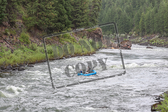 20240701-IMG_1219