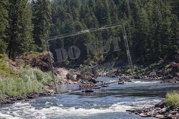 20240716-IMG_6353
