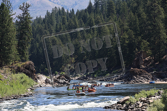 20220729-IMG_0562