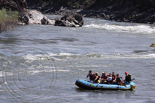 IMG_3458