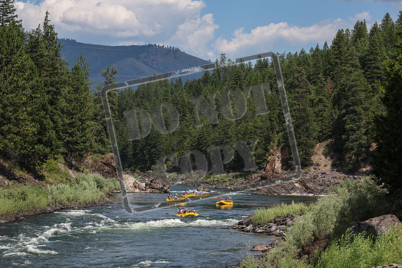 20240706-IMG_3506