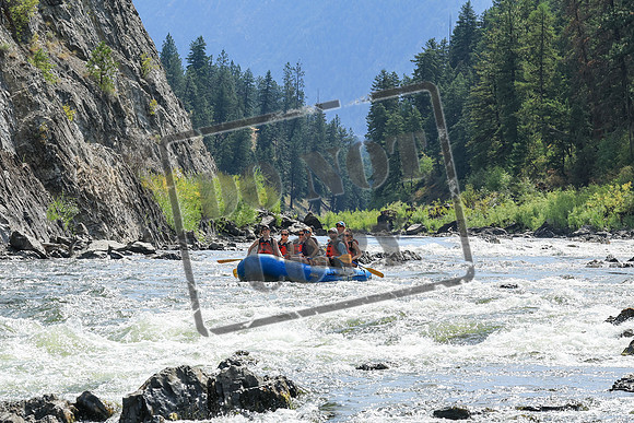 20250806-IMG_2721